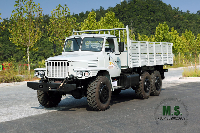 190 حصان 6×6 EQ2100 Dongfeng Truck_شاحنة ذات ستة عجلات للطرق الوعرة، صف واحد، زجاج مزدوج، رأس مدبب، مركبة تصدير ذات أغراض خاصة، AWD