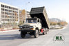 6×6 EQ2082 شاحنة قلابة _ ذات دفع سداسي Dongfeng شاحنة قلابة ذات رأس مدبب ذات صف واحد، شاحنات التعدين في موقع التعدين_ شاحنات تصدير للأغراض الخاصة