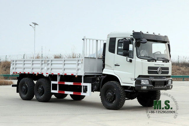Dongfeng شاحنة الطرق الوعرة 6*6 بقوة 260 حصانًا للغابات ومركبات نقل البضائع على الطرق الوعرة، شاحنة خاصة للتصدير