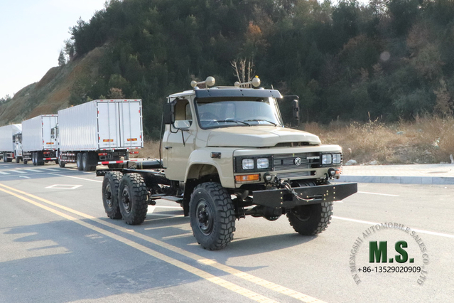 Dongfeng بيع Truck_argo Truck_EQ2082 لجميع الطرق الوعرة Truck_EQ2082
