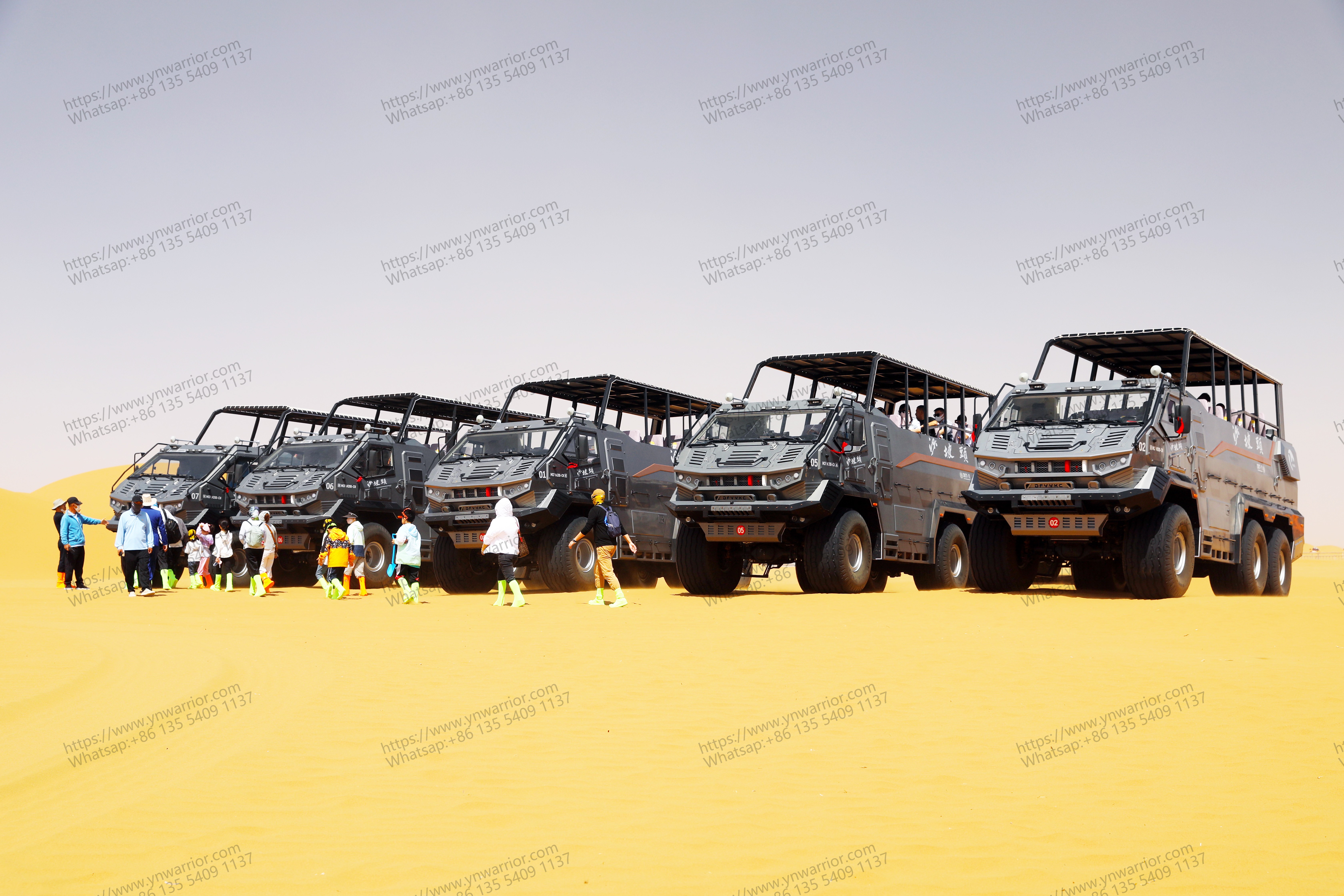 Desert Cruiser Fleet So Cool in Desert Tourism 