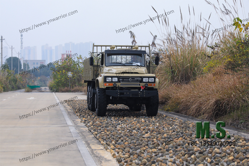 مصنوعة Dongfeng شاحنة شحن 