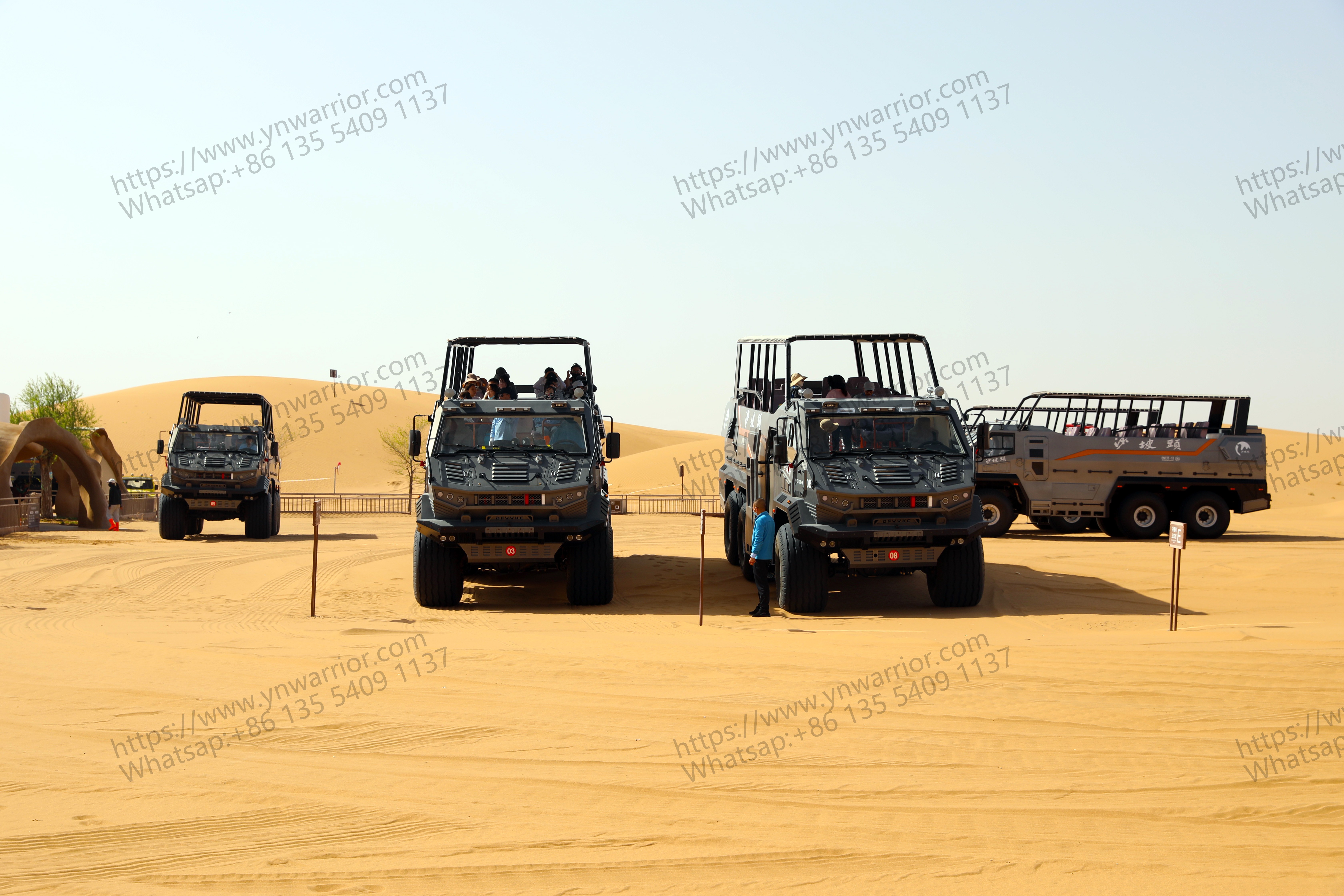 Desert Cruiser 