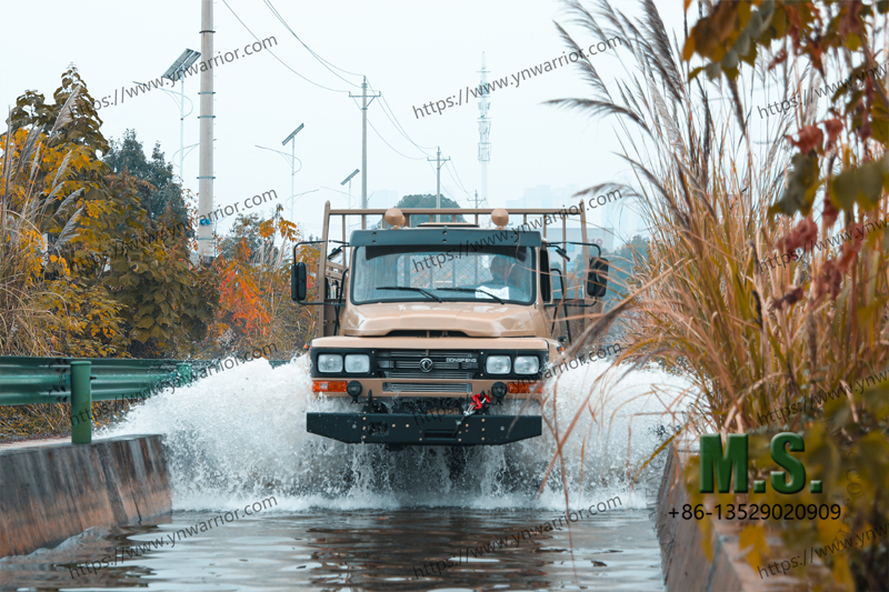 الشاحنات الشاحنة المودعة Dongfeng اختبار 