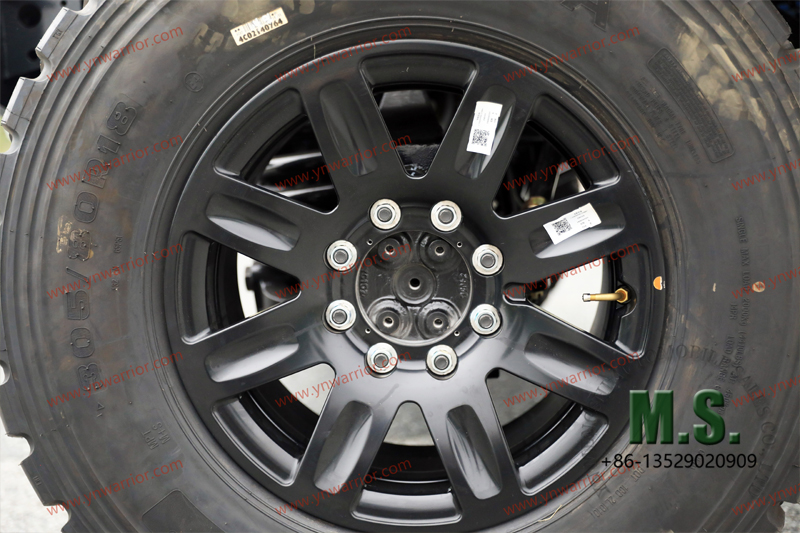 الأرجح ، والهيكل العظمي 