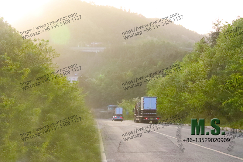 Chinese Truck Truck التي ترسل من Manfuacturer مع الشاحنات أنهت للتو إنتاج 