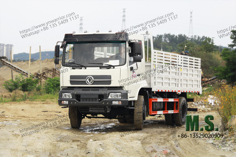 Dongfeng الشركة المصنعة لشاحنة الشحن مباشرة ، لذا حصلت على صور مختلفة 